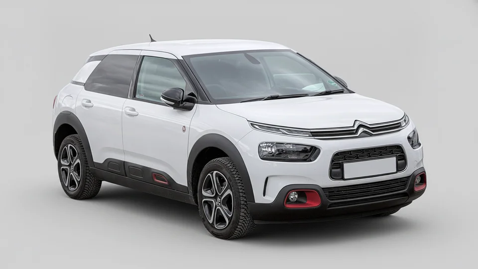 C4 Cactus
