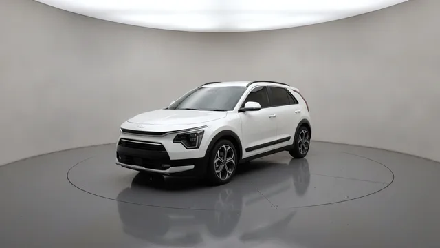 Niro