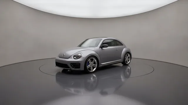 Beetle