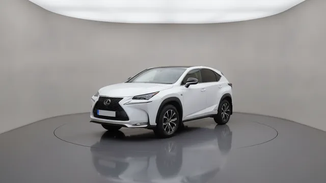 NX 300h